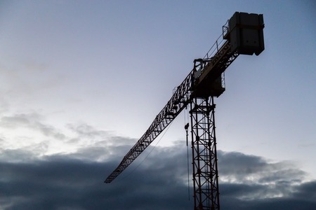 Silhouette of crane during the twilight back lit imageの写真素材