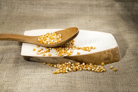 Organic corn over wooden tray and sackcloth, studio imageの写真素材