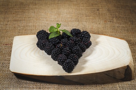 Blackberry view over wooden log, yellow filter applied imageの写真素材