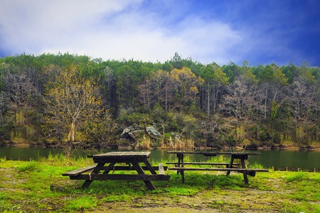 Long exposure forest view with silky river and dynamic colored forestの写真素材