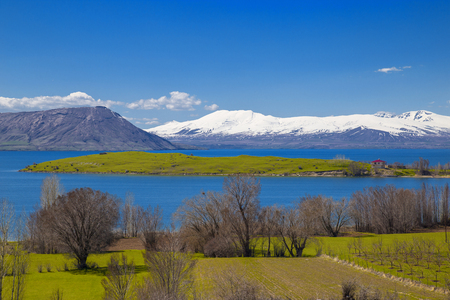 Tranquil scene, snowy mountains, lake and green meadow