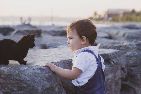 Kitten and toddler looking each other on rocks during sunsetの写真素材