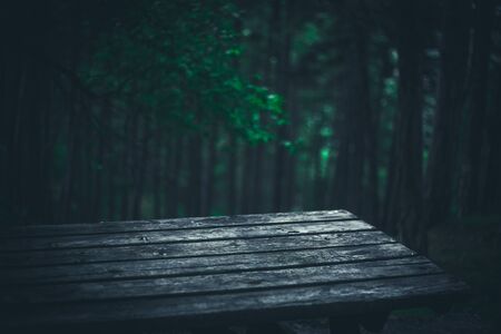 Empty picnic table view from a forest for design backgroundの写真素材