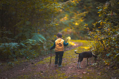 a small boy walking on a path with a dog in a forest autumun seasonの写真素材