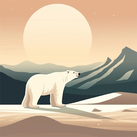 Unhappy polar bear portrait, it is in a desert.の素材