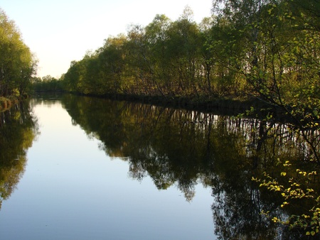 Evening reflection of trees in lakeの写真素材