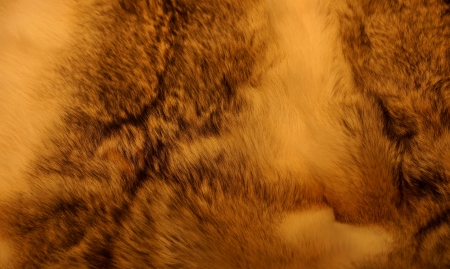 background skin
