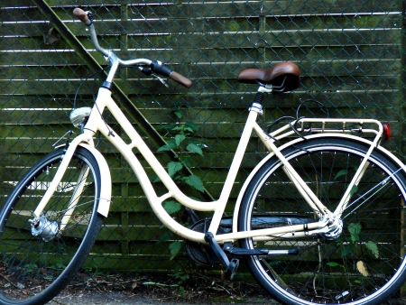 old cyclist holandradの写真素材