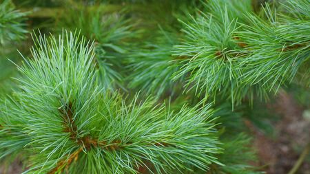 backgroundの写真素材