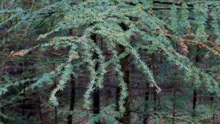 backgroundの写真素材