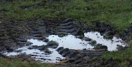 puddleの写真素材
