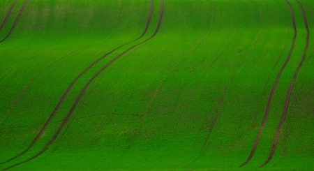 backgroundの写真素材