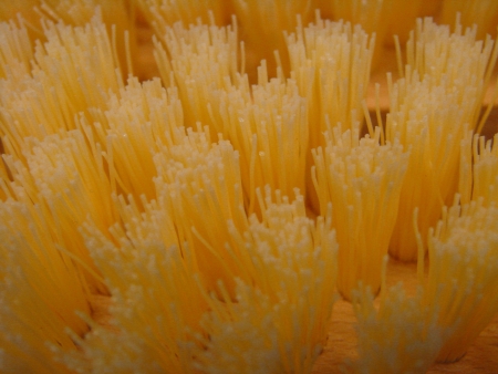 background - brushの写真素材