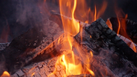 campfire firewood