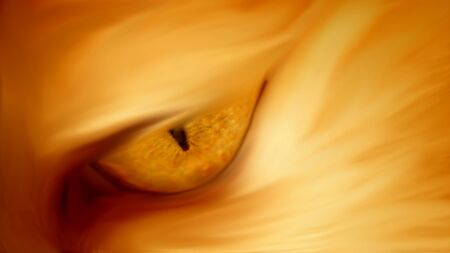 golden-eye-abstractの写真素材