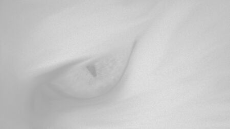 gray-background-eye-catの写真素材