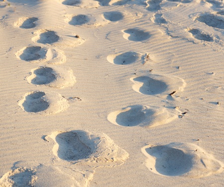 many deep footprints in the sand on the beach in the morningの写真素材