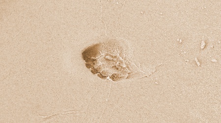beautiful background with footprint