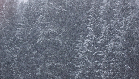 it is snowingの写真素材