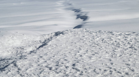 background snowの写真素材