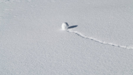 snow and snowballの写真素材