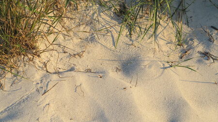 resort on the beachの写真素材