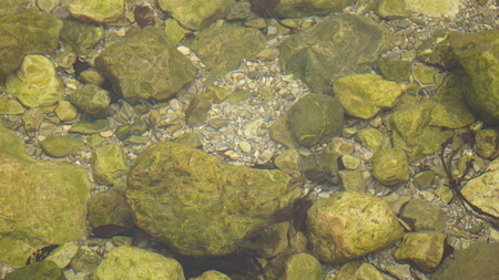 clear water and stones in the brook or riverの写真素材