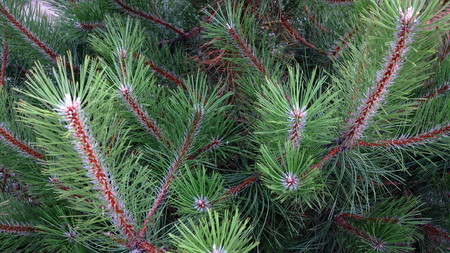 navy, destination, recreation, beach holidaysの写真素材