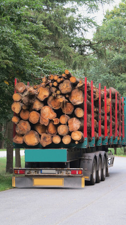 large round wooden beams loaded on semi truckの写真素材