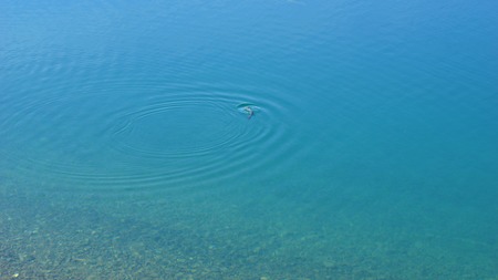 backgorundの写真素材