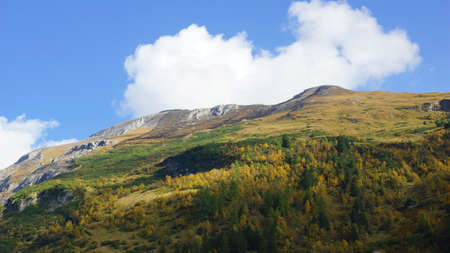 beautiful golden autumn in the mountainsの写真素材