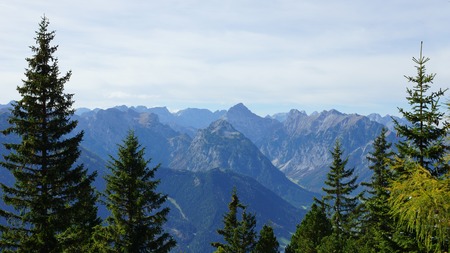beautiful view of the summit of the Alps and treesの写真素材
