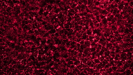 abstract background redの写真素材
