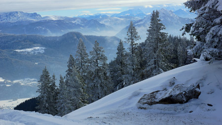 beautiful misty mountains and fire treesの写真素材