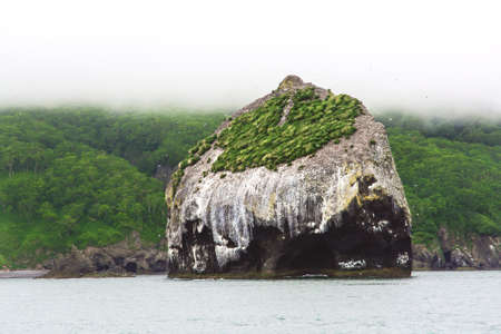 Rocks in the Pacific Ocean where birds nest at the entrance to the bay Avachinskayay. Kamchatka, Russia. Selective focusの写真素材