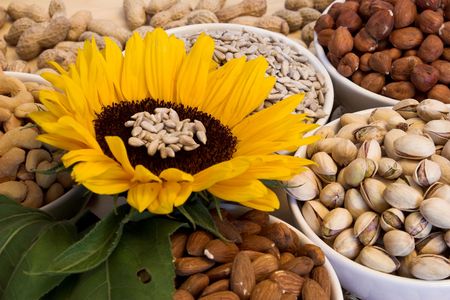 Mixed nuts and sunflowerの写真素材