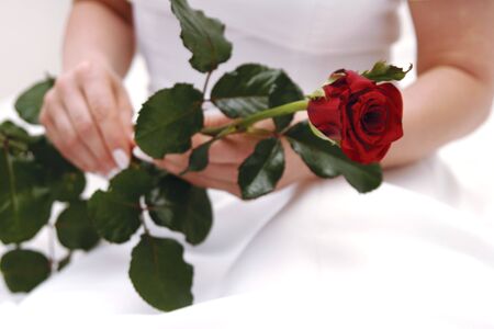 weddingの写真素材