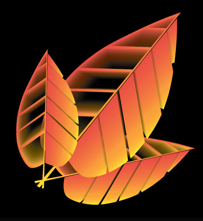 three yellow tree wilted leaf against a black backgroundのイラスト素材