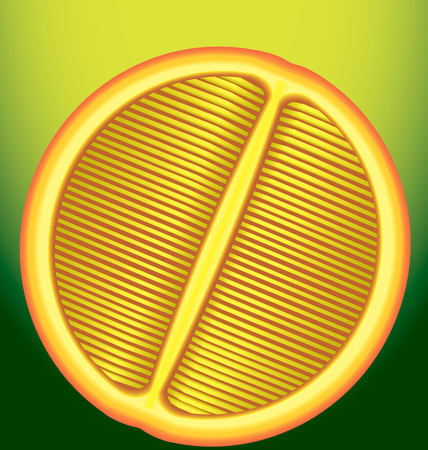 fresh orange in a longitudinal section on a green backgroundのイラスト素材