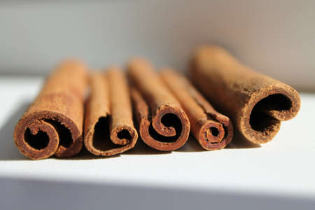 cinnamon sticks from the end, daylightの写真素材