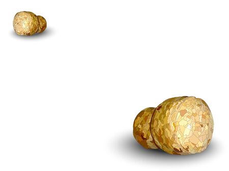 Two champagne corks lying on a white backgroundの写真素材