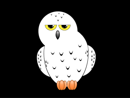 White snowy owl isolated on a black backgroundの写真素材