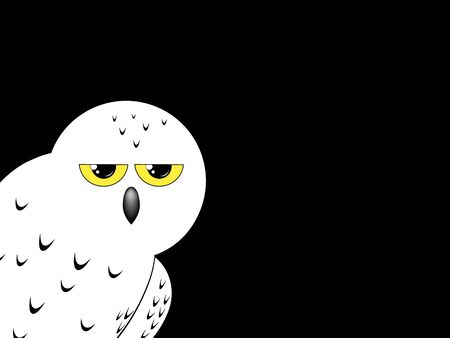 White snowy owl isolated on a black backgroundの写真素材