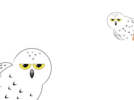 White snowy owl isolated on a white backgroundの写真素材