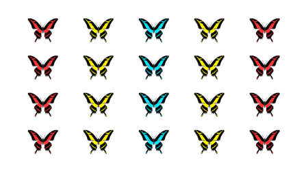 Multicolored butterflies in the form of a matrix on a white backgroundの写真素材