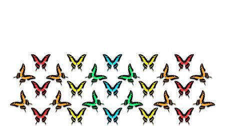 Butterflies in order of chess board, with copy space, all colors of the rainbowの写真素材