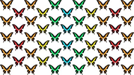 butterflies in order of chess board, colors of the rainbowの写真素材
