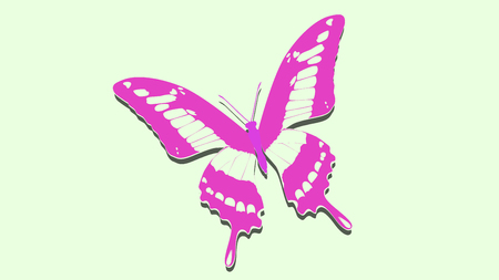exotic pink butterfly on the album sheetのイラスト素材