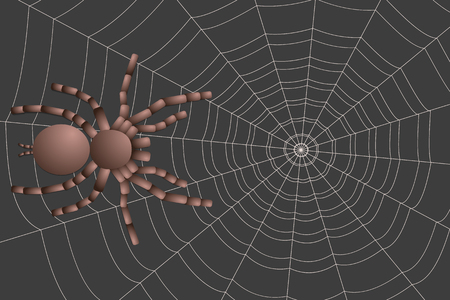 spider tarantula on a gray background, concentric webの写真素材