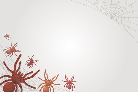 small and large spiders tarantulas on a white background, top viewのイラスト素材